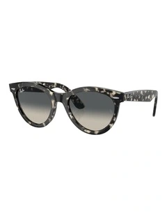 Wayfarer Way Acetate Sunglasses in Tortoise