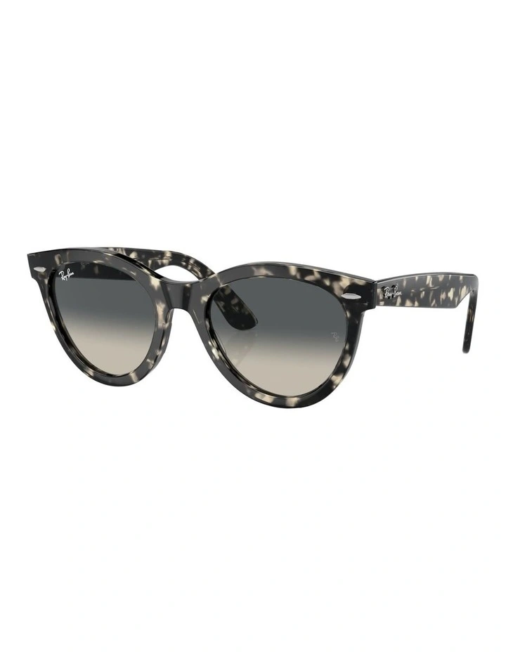 Wayfarer Way Acetate Sunglasses in Tortoise image 1