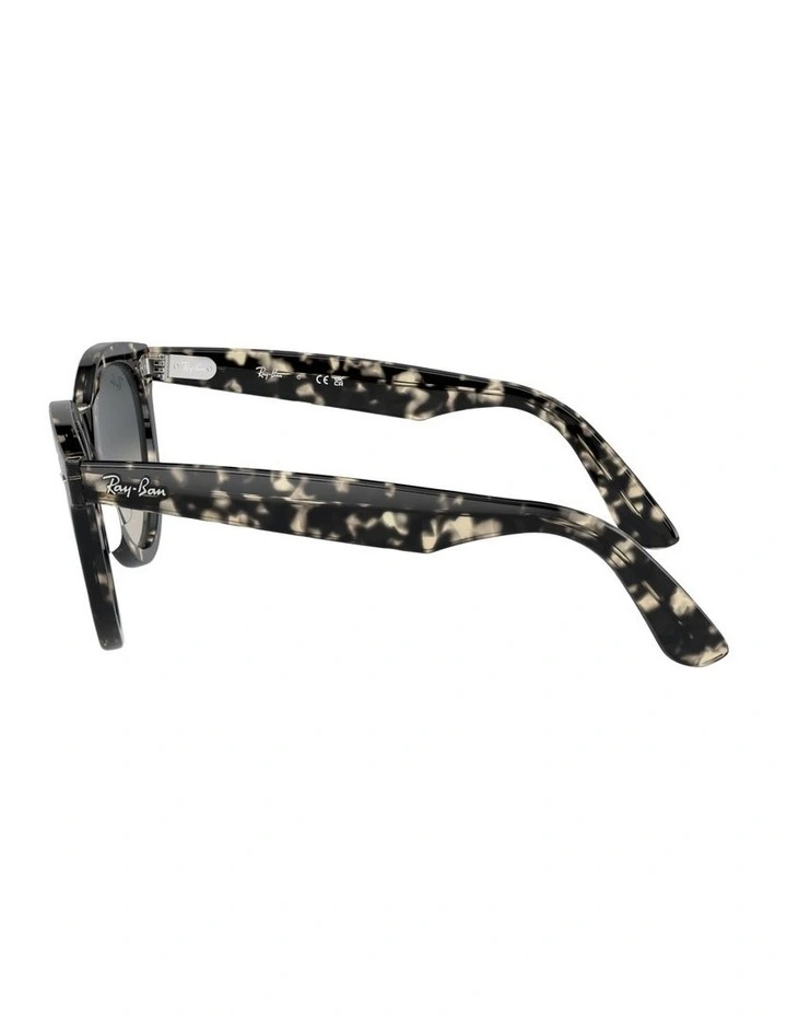 Wayfarer Way Acetate Sunglasses in Tortoise image 3