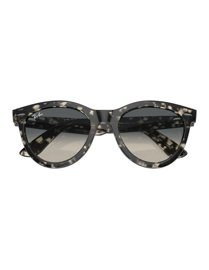 Wayfarer Way Acetate Sunglasses in Tortoise image 4