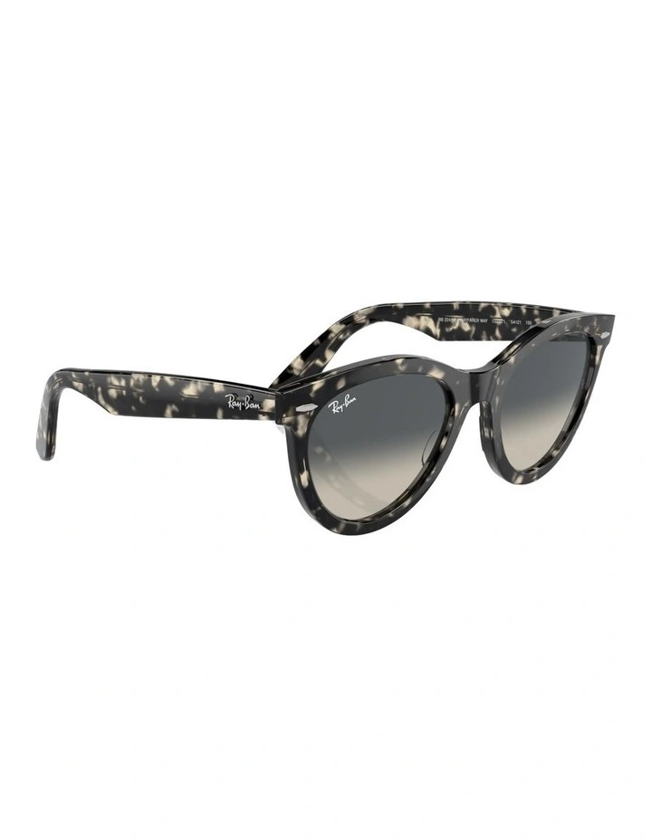 Wayfarer Way Acetate Sunglasses in Tortoise image 5