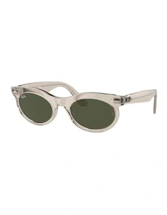 Wayfarer Oval Change Propionate Sunglasses in Grey