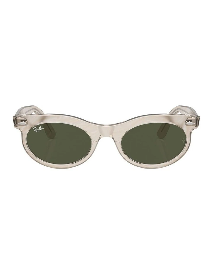 Wayfarer Oval Change Propionate Sunglasses in Grey image 2