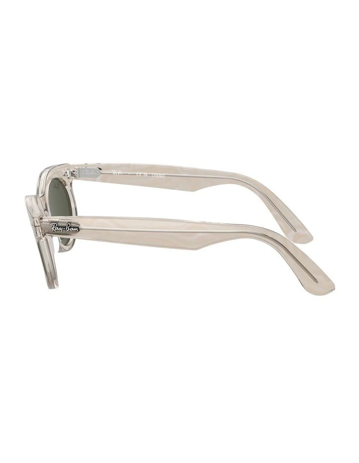Wayfarer Oval Change Propionate Sunglasses in Grey image 3