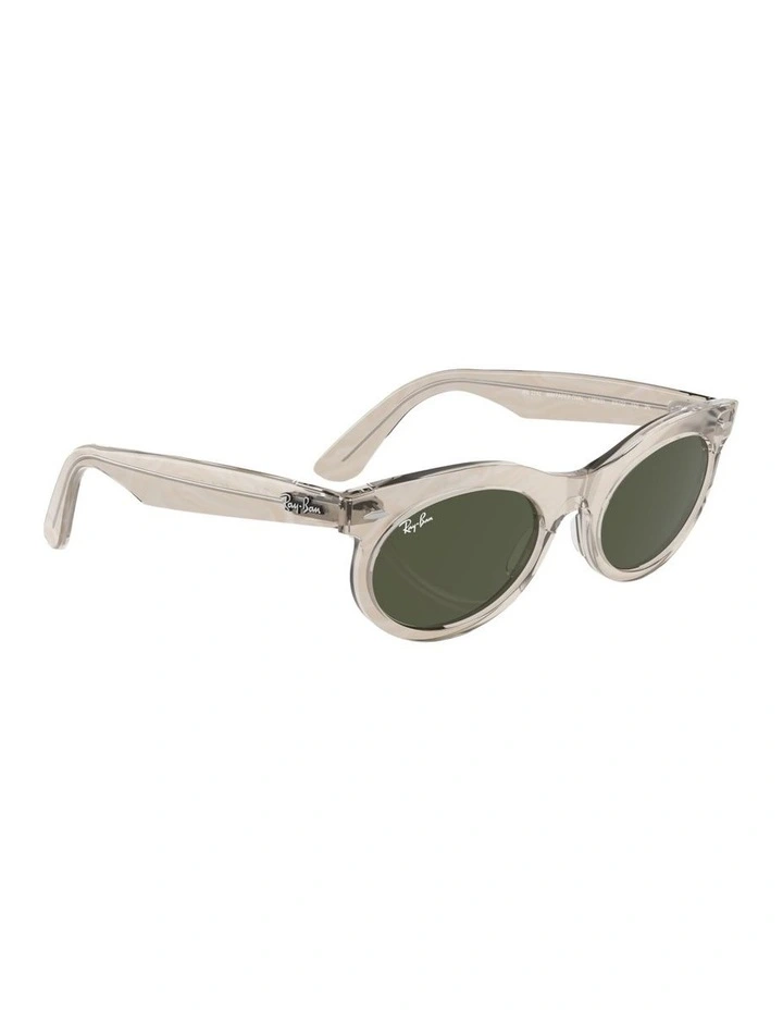 Wayfarer Oval Change Propionate Sunglasses in Grey image 4