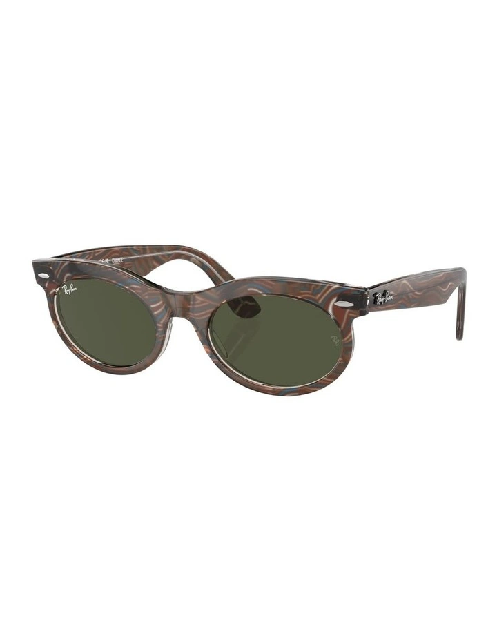 Wayfarer Oval Change Propionate Sunglasses in Grey image 5