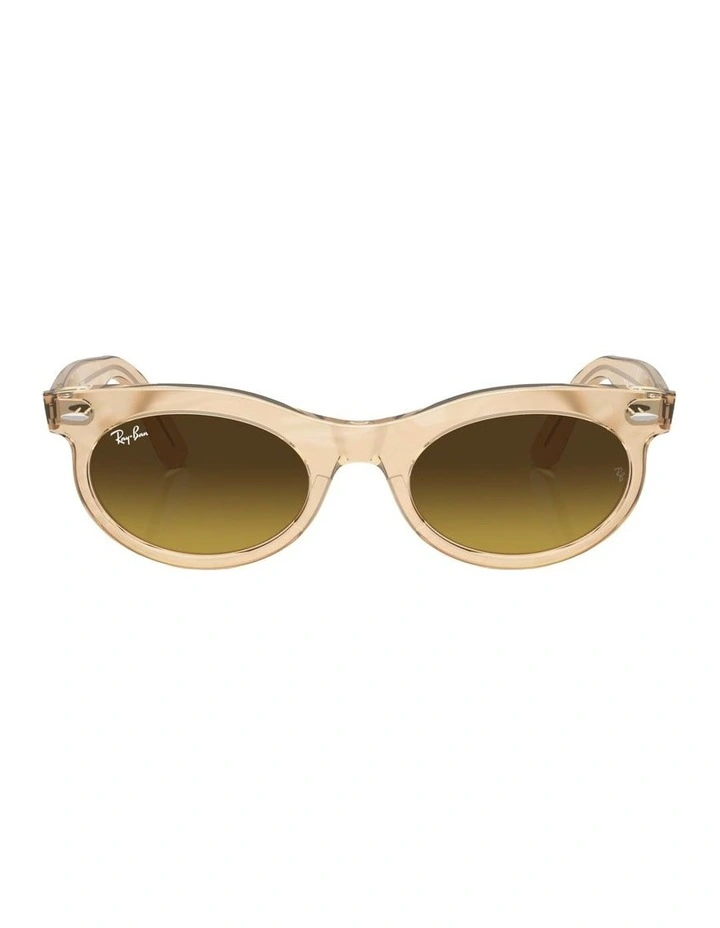 Wayfarer Oval Change Propionate Sunglasses in Brown image 1
