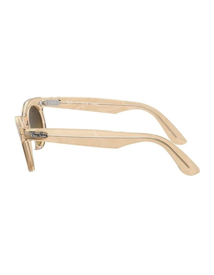 Wayfarer Oval Change Propionate Sunglasses in Brown image 3