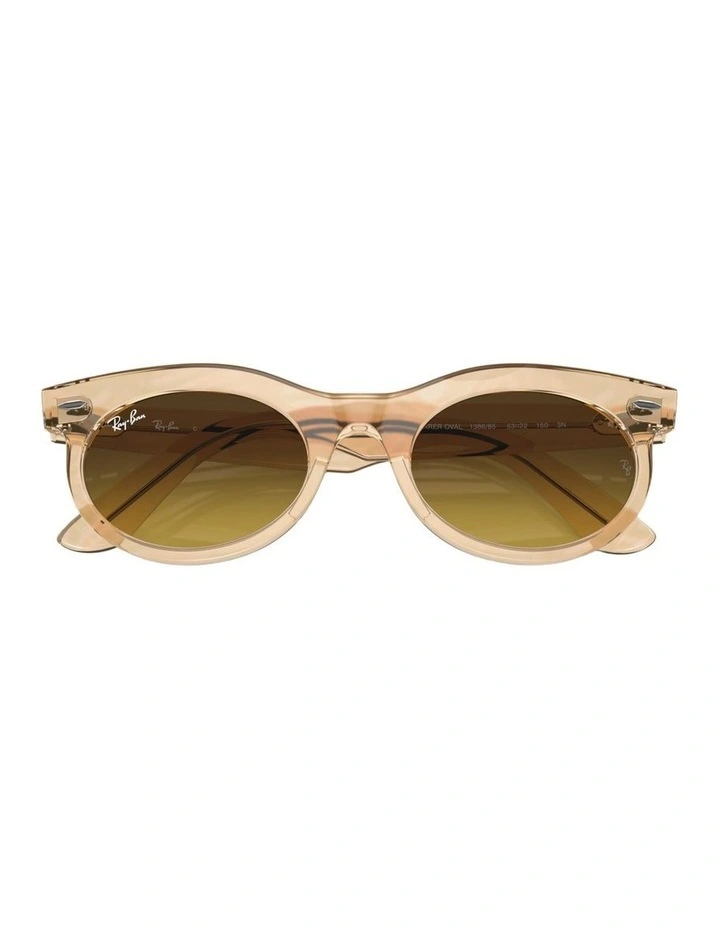 Wayfarer Oval Change Propionate Sunglasses in Brown image 4