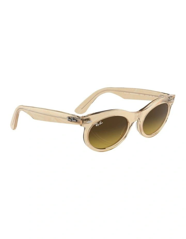 Wayfarer Oval Change Propionate Sunglasses in Brown image 5