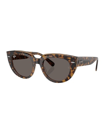 Havana On Transparent Brown colour