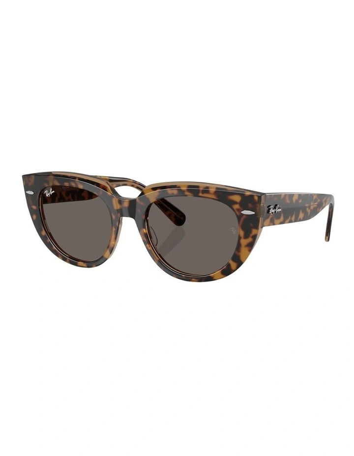 Doreen Propionate Sunglasses in Tortoise image 1