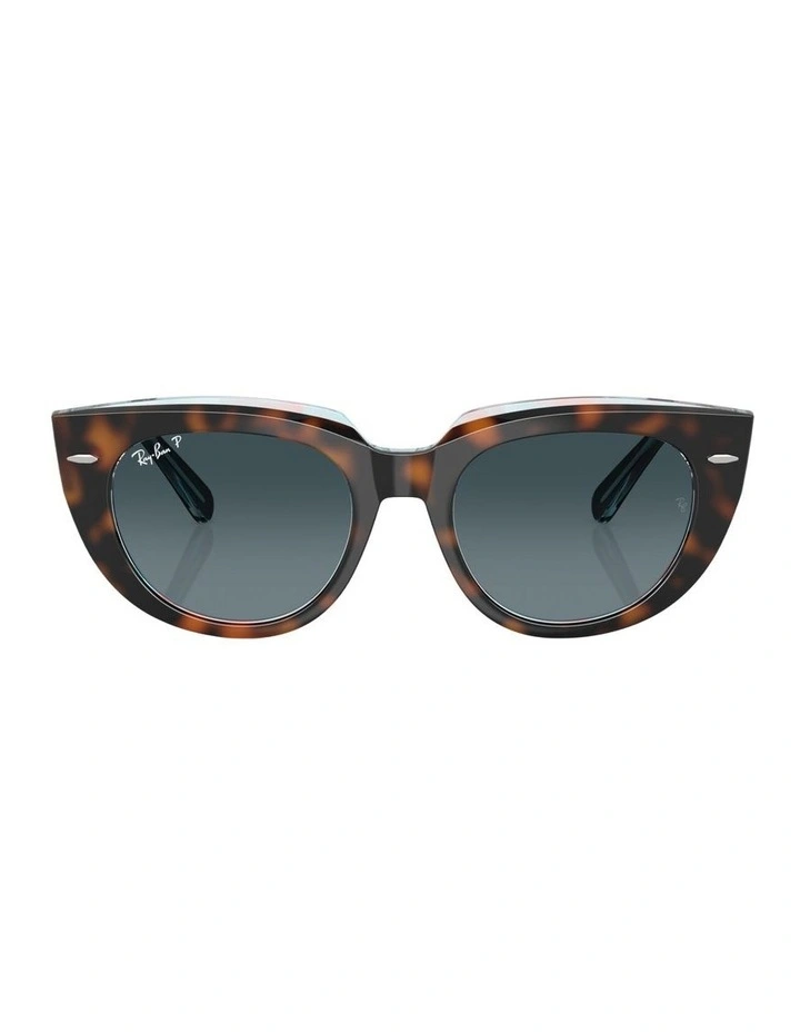 Doreen Propionate Polarised Sunglasses in Tortoise image 2