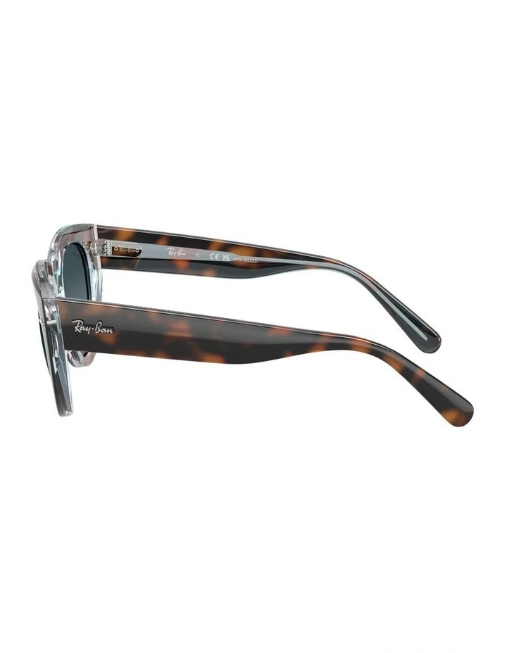 Doreen Propionate Polarised Sunglasses in Tortoise image 3