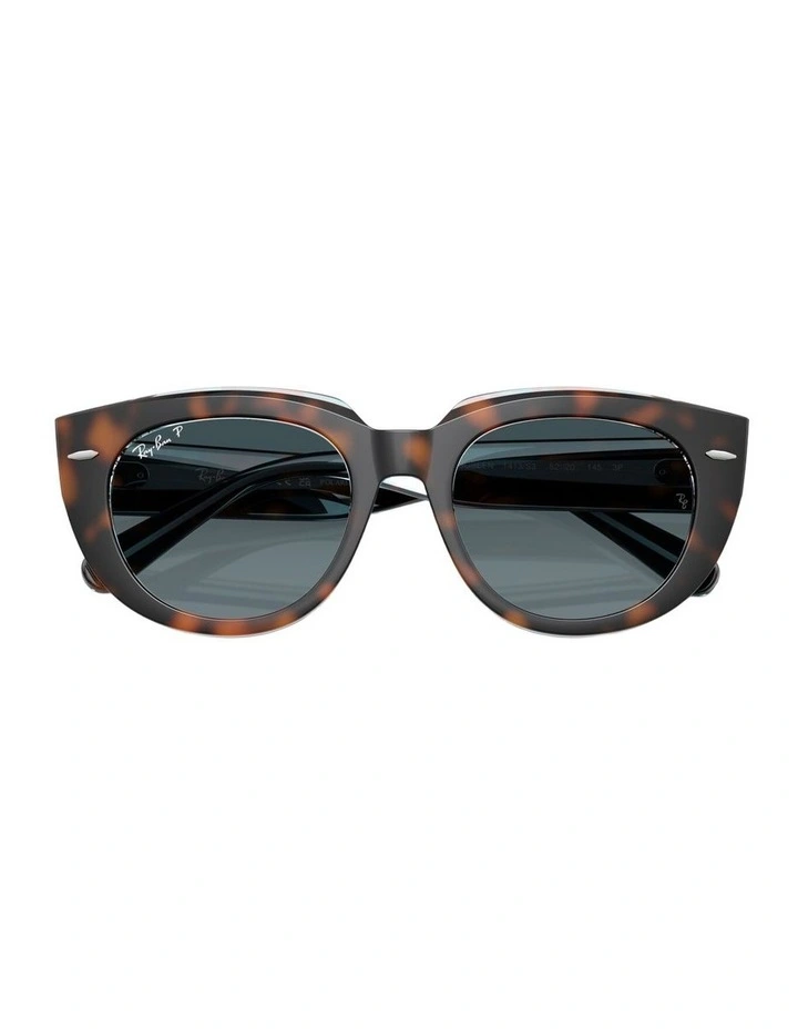 Doreen Propionate Polarised Sunglasses in Tortoise image 4