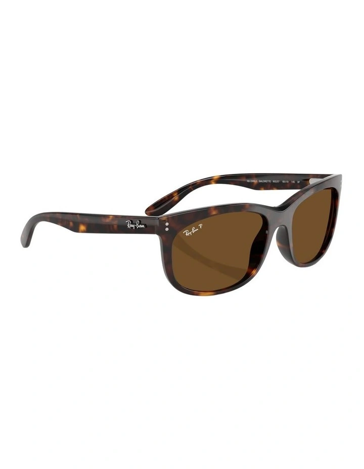Balorette Acetate Polarised Sunglasses in Tortoise image 3