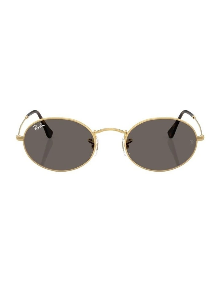 Oval Flat Lenses Metal Sunglasses in Gold image 1