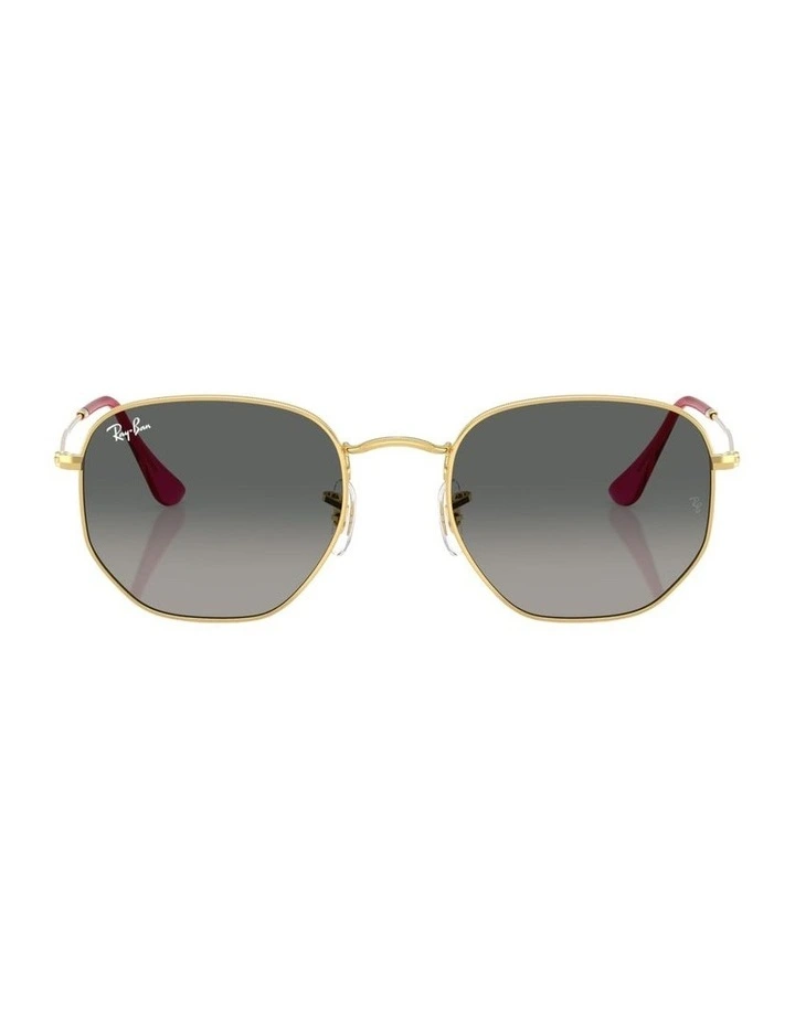 Hexagonal Flat Lenses Steel Sunglasses in Gold image 1