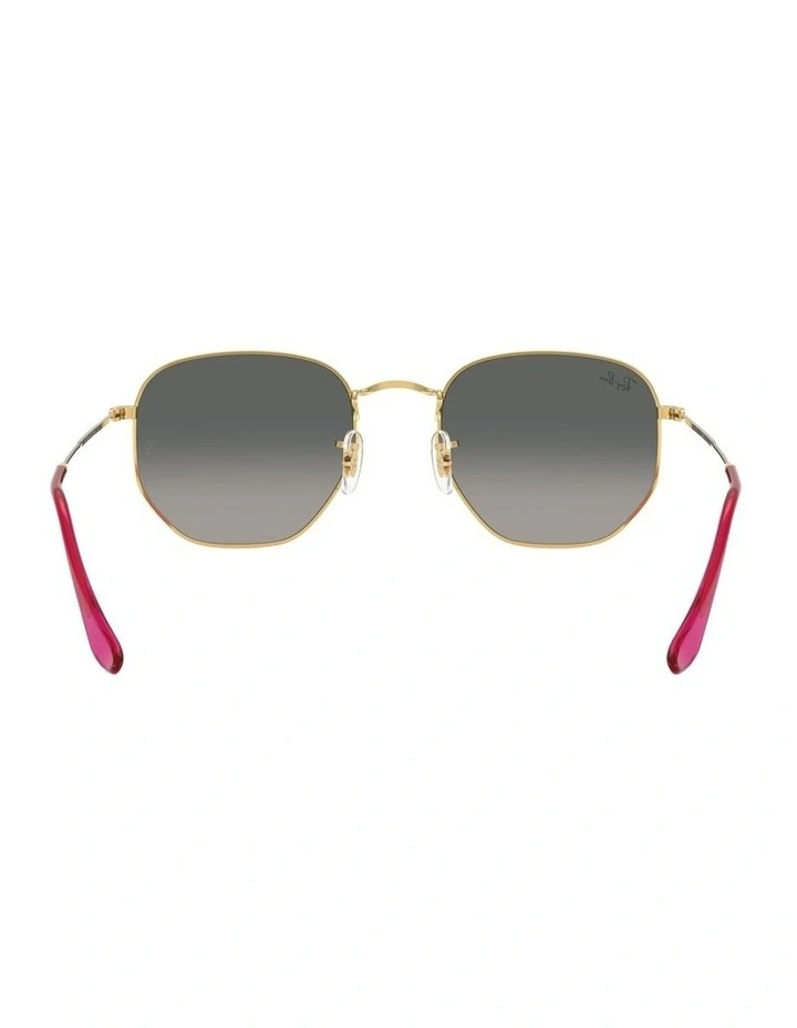 Hexagonal Flat Lenses Steel Sunglasses in Gold image 2