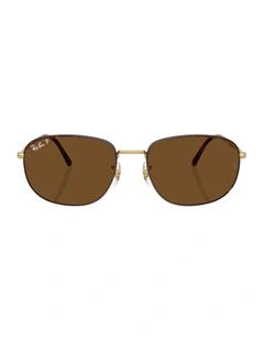 Metal Polarised Sunglasses RB3754 in Tortoise