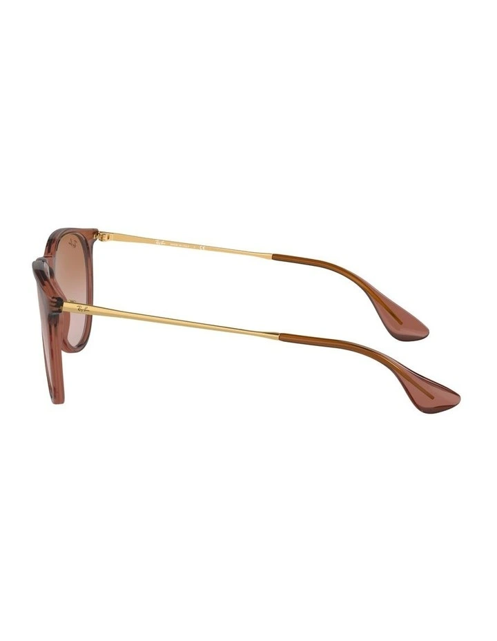 Erika Classic Nylon Sunglasses in Brown image 3