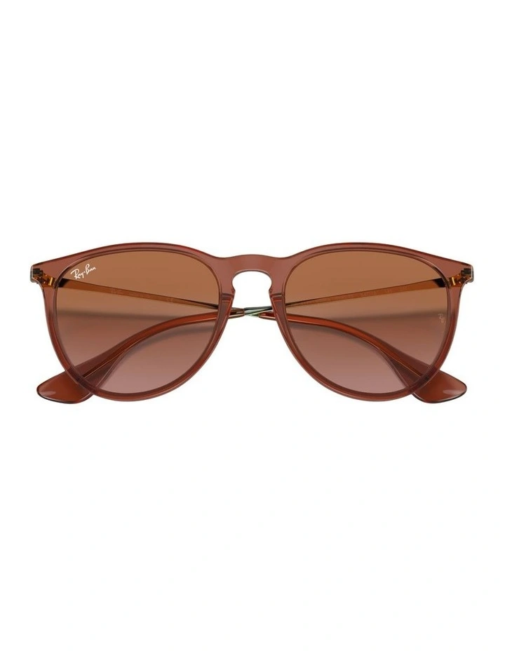 Erika Classic Nylon Sunglasses in Brown image 4