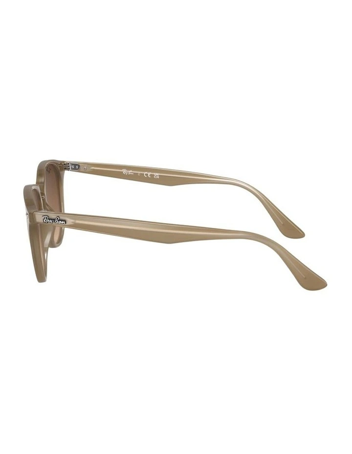 Propionate Sunglasses in Beige RB4259 image 3