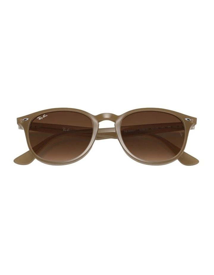 Propionate Sunglasses in Beige RB4259 image 4