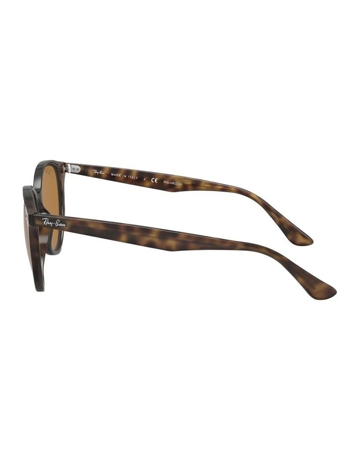 Propionate Polarised Sunglasses in Tortoise RB4305 image 2
