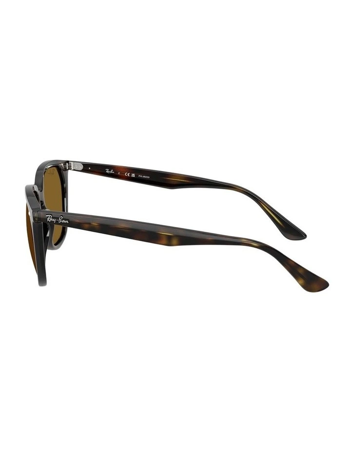 Propionate Polarised Sunglasses in Tortoise RB4362 image 3