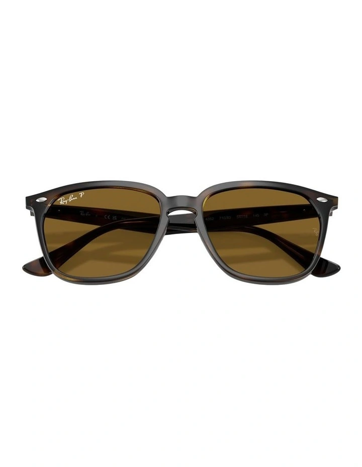 Propionate Polarised Sunglasses in Tortoise RB4362 image 4
