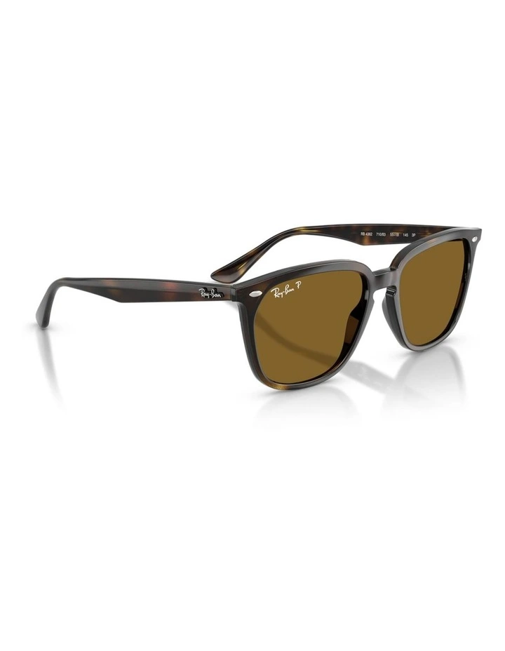 Propionate Polarised Sunglasses in Tortoise RB4362 image 5