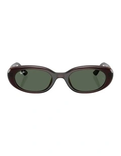 Injected Sunglasses in Brown RB4441D