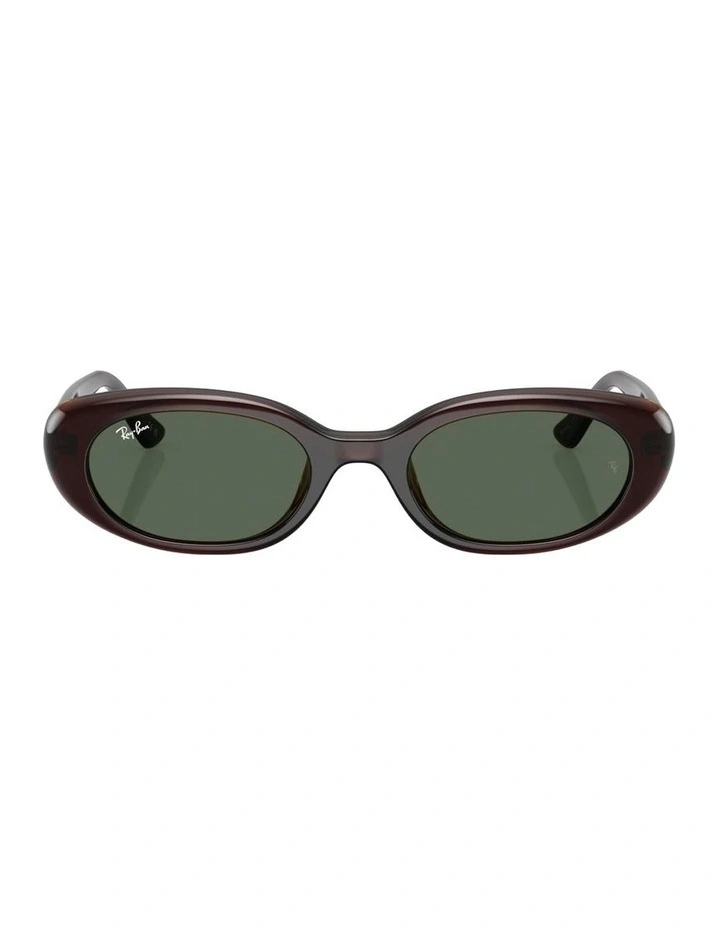 Injected Sunglasses in Brown RB4441D image 1