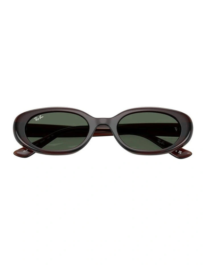 Injected Sunglasses in Brown RB4441D image 2