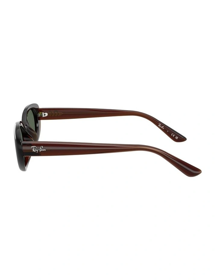 Injected Sunglasses in Brown RB4441D image 3