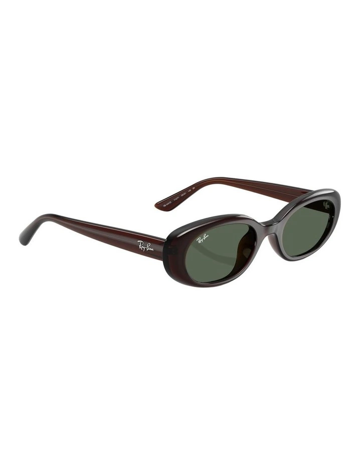 Injected Sunglasses in Brown RB4441D image 4