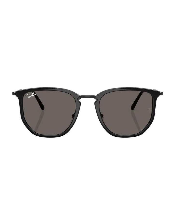 Nylon Sunglasses in Black RB4451 image 1