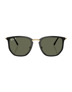 Nylon Polarised Sunglasses in Black RB4451