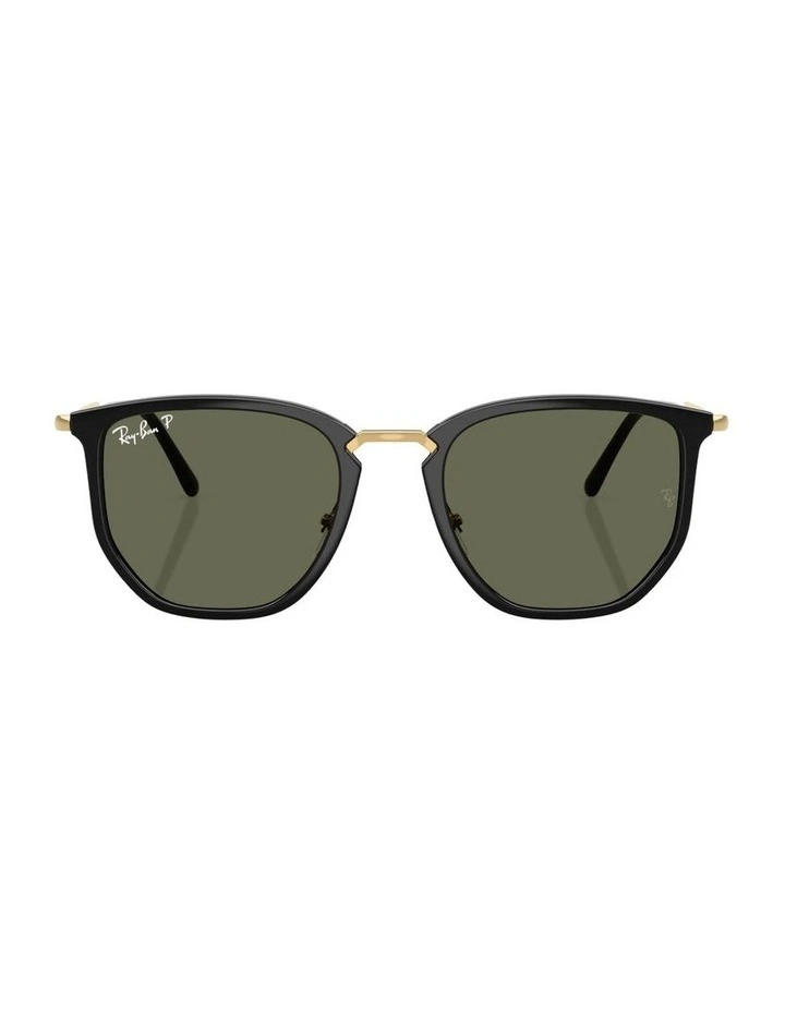 Nylon Polarised Sunglasses in Black RB4451 image 1