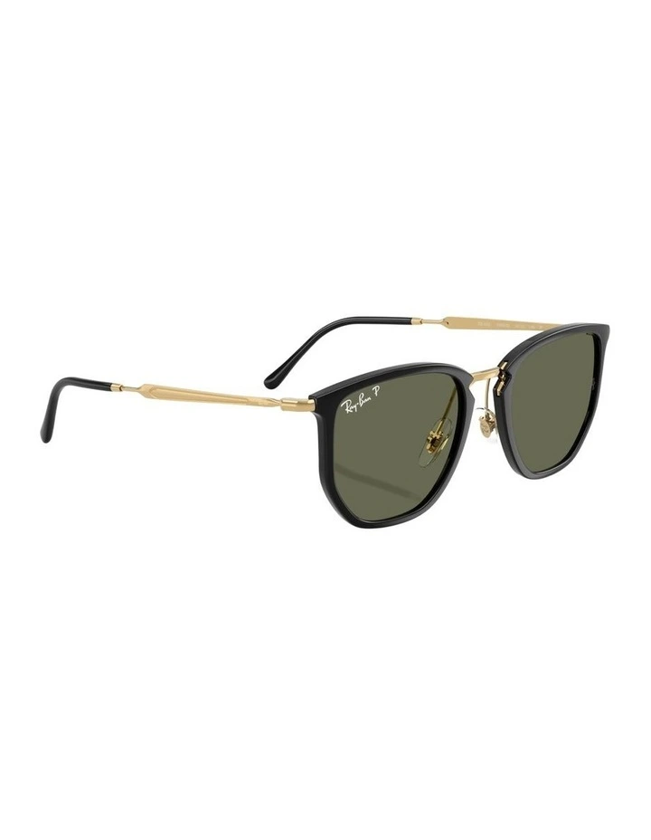 Nylon Polarised Sunglasses in Black RB4451 image 5