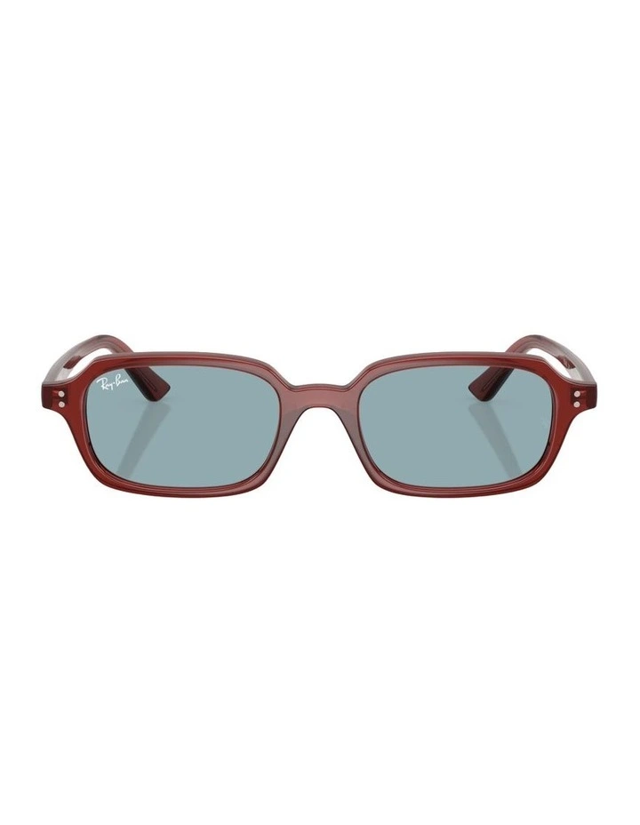 Zuri Bio-Based Injected Sunglasses in Brown image 1