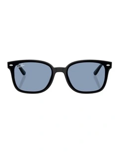 Nylon Sunglasses in Black RB4461D