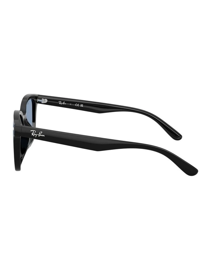 Nylon Sunglasses in Black RB4461D image 2