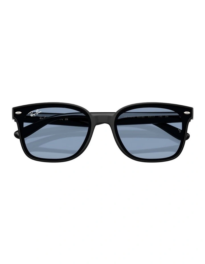 Nylon Sunglasses in Black RB4461D image 3
