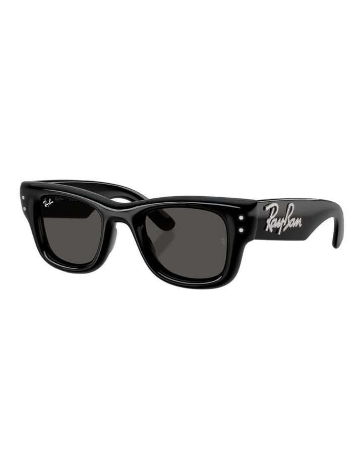 Wayfarer Puffer Nylon Sunglasses in Black image 1