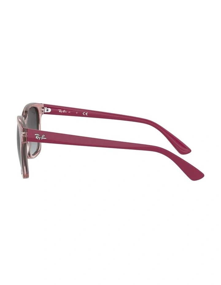 Injected Sunglasses in Pink RB9071S image 3