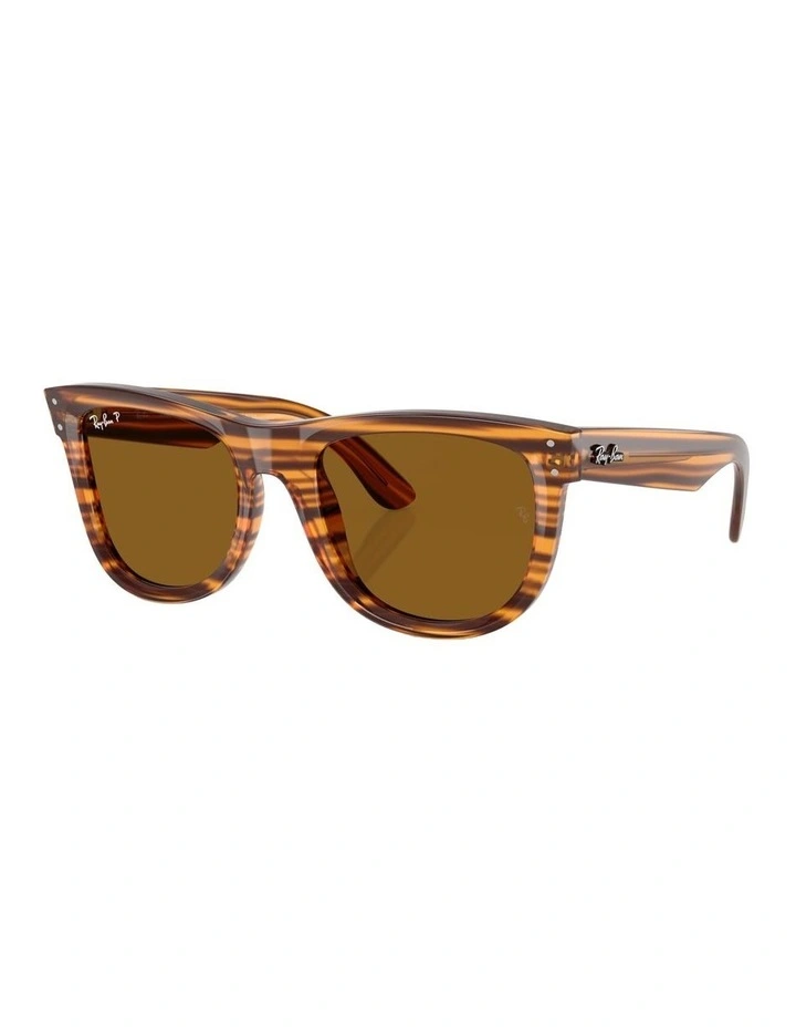 Wayfarer Reverse Molded Acetate Polarised Sunglasses in Brown image 1