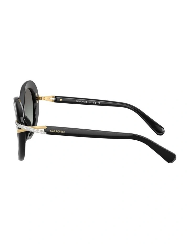 Acetate Sunglasses in Black image 2