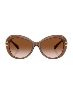 Acetate Sunglasses in Brown